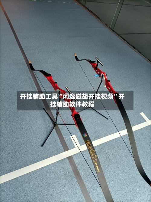 开挂辅助工具“闲逸碰胡开挂视频”开挂辅助软件教程-第3张图片