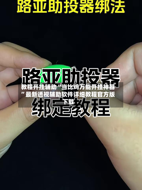教程开挂辅助“当比鸡万能开挂神器	”最新透视辅助软件详细教程官方版下载-第1张图片