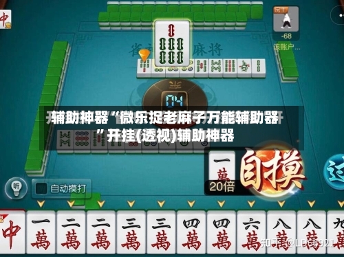 辅助神器“微乐捉老麻子万能辅助器	”开挂(透视)辅助神器-第1张图片