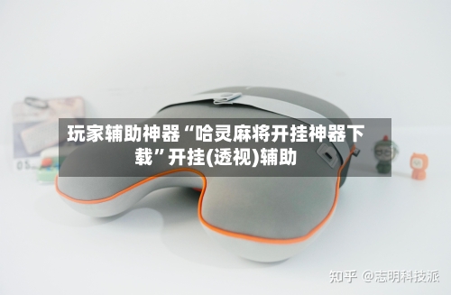 玩家辅助神器“哈灵麻将开挂神器下载	”开挂(透视)辅助-第2张图片