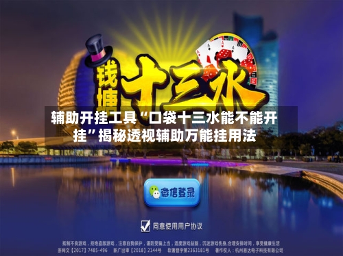 辅助开挂工具“口袋十三水能不能开挂”揭秘透视辅助万能挂用法-第2张图片