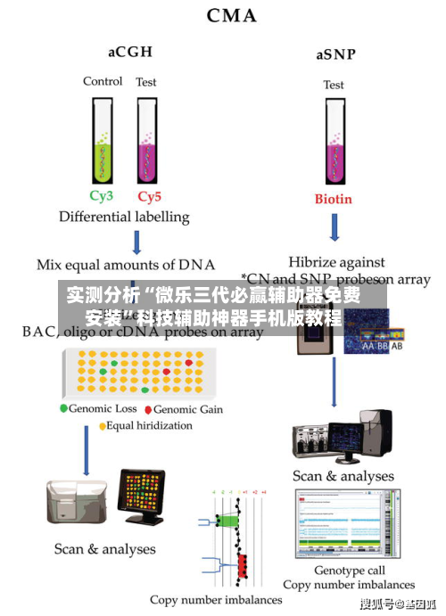 实测分析“微乐三代必赢辅助器免费安装	”科技辅助神器手机版教程-第2张图片