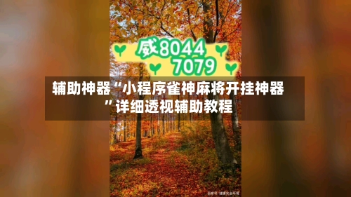 辅助神器“小程序雀神麻将开挂神器”详细透视辅助教程-第2张图片