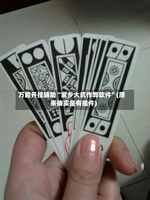 万能开挂辅助“家乡大贰作弊软件”(原来确实是有插件)-第3张图片