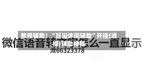教程辅助！“好运休闲辅助”开挂(透视)辅助神器-第3张图片