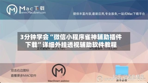 3分钟学会“微信小程序雀神辅助插件下载”详细外挂透视辅助软件教程-第2张图片