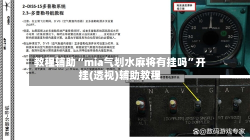 教程辅助“mia气划水麻将有挂吗”开挂(透视)辅助教程-第1张图片