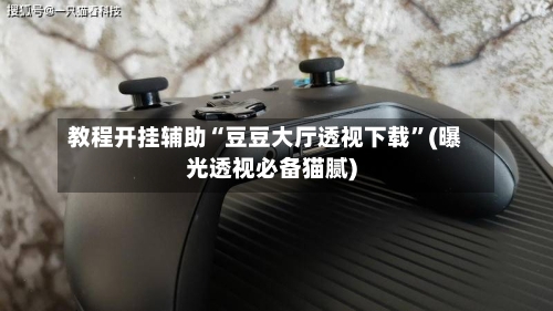 教程开挂辅助“豆豆大厅透视下载”(曝光透视必备猫腻)-第1张图片