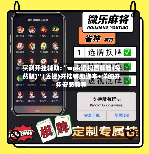 实测开挂辅助:“wpk透视看牌器(免费版)”(透视)开挂辅助脚本+详细开挂安装教程-第1张图片