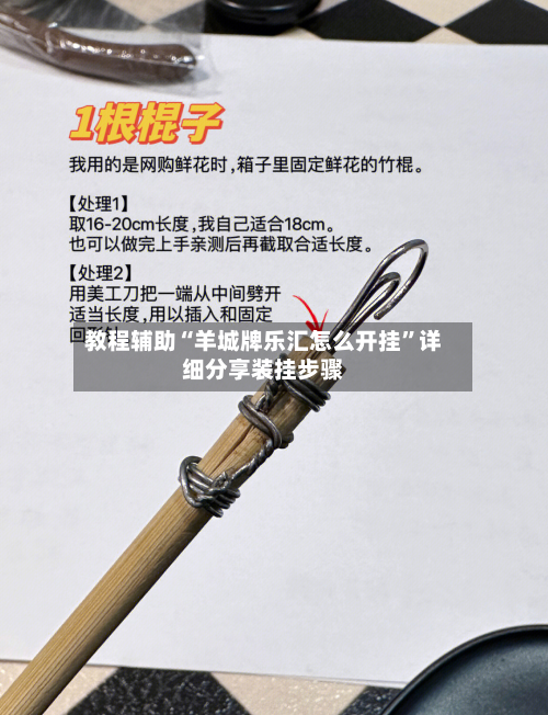 教程辅助“羊城牌乐汇怎么开挂	”详细分享装挂步骤-第1张图片