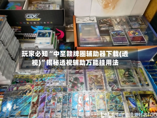 玩家必知“中至赣牌圈辅助器下载(透视)”揭秘透视辅助万能挂用法-第1张图片