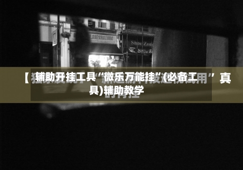 辅助开挂工具“微乐万能挂”(必备工具)辅助教学-第3张图片