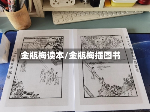 金瓶梅读本/金瓶梅插图书-第3张图片
