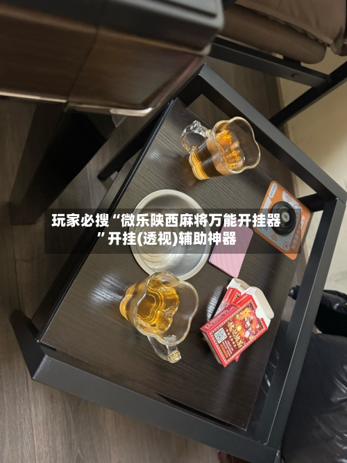 玩家必搜“微乐陕西麻将万能开挂器	”开挂(透视)辅助神器-第2张图片