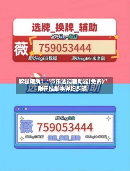 教程辅助！“微乐透视辅助器(免费)”附开挂脚本详细步骤-第1张图片