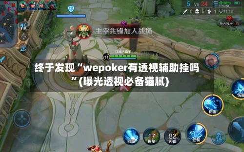 终于发现“wepoker有透视辅助挂吗”(曝光透视必备猫腻)-第2张图片