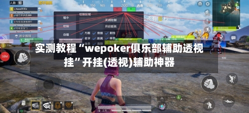 实测教程“wepoker俱乐部辅助透视挂”开挂(透视)辅助神器-第3张图片