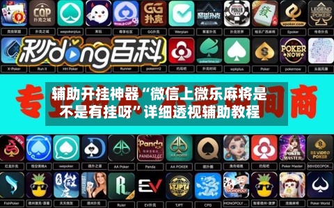 辅助开挂神器“微信上微乐麻将是不是有挂呀	”详细透视辅助教程-第3张图片