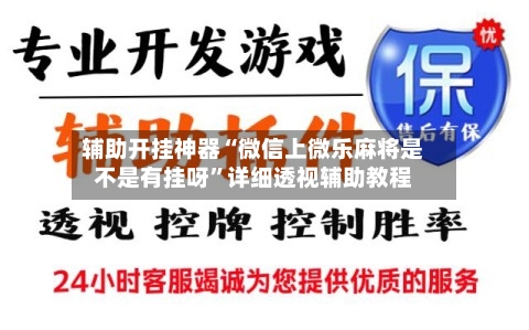 辅助开挂神器“微信上微乐麻将是不是有挂呀”详细透视辅助教程-第2张图片