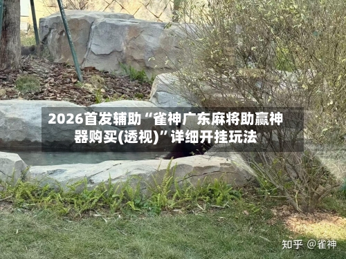 2026首发辅助“雀神广东麻将助赢神器购买(透视)”详细开挂玩法-第1张图片