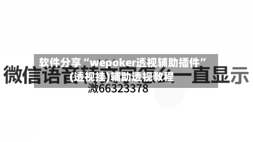 软件分享“wepoker透视辅助插件”(透视挂)辅助透视教程-第1张图片