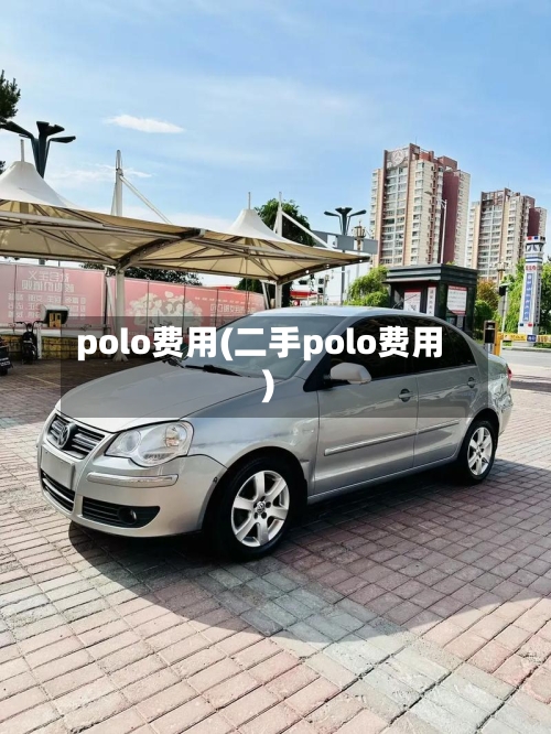 polo费用(二手polo费用)-第1张图片