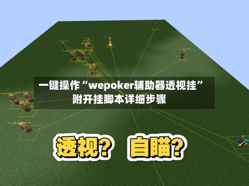 一键操作“wepoker辅助器透视挂”附开挂脚本详细步骤-第1张图片