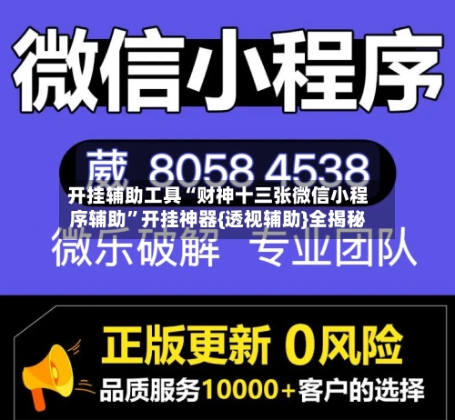 开挂辅助工具“财神十三张微信小程序辅助”开挂神器{透视辅助}全揭秘-第2张图片
