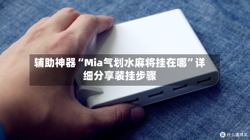 辅助神器“Mia气划水麻将挂在哪	”详细分享装挂步骤-第1张图片