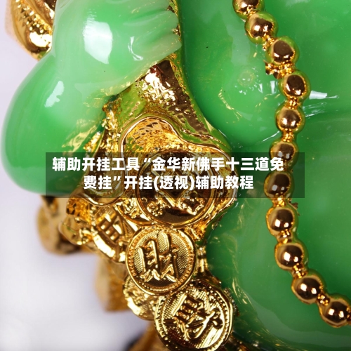 辅助开挂工具“金华新佛手十三道免费挂”开挂(透视)辅助教程-第1张图片