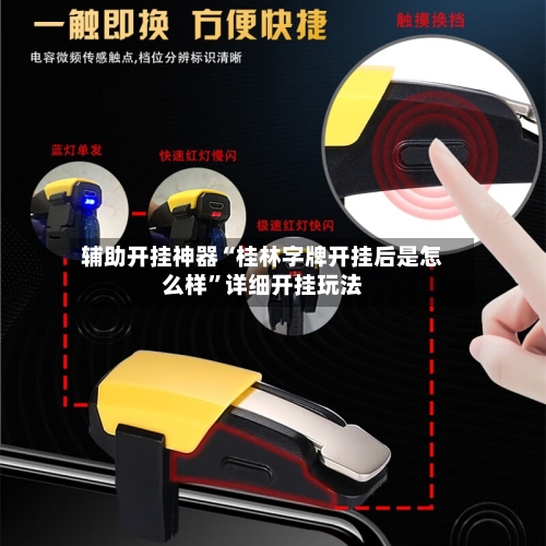 辅助开挂神器“桂林字牌开挂后是怎么样”详细开挂玩法-第3张图片