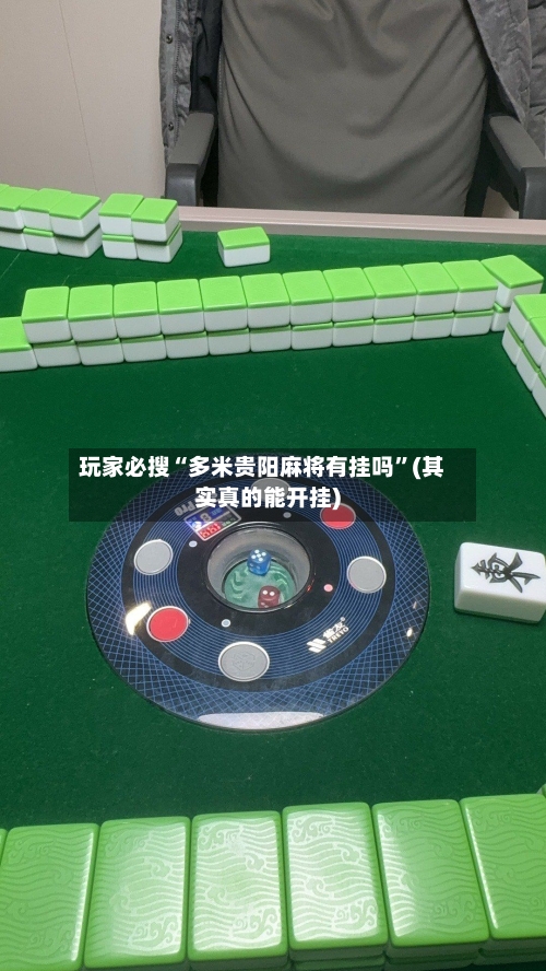 玩家必搜“多米贵阳麻将有挂吗”(其实真的能开挂)-第1张图片
