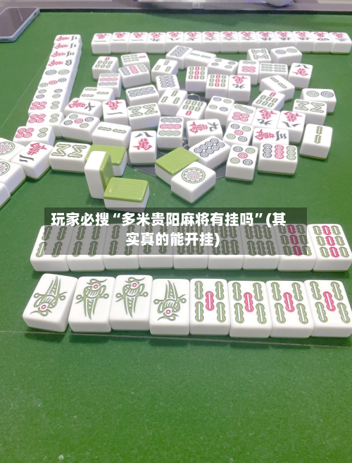 玩家必搜“多米贵阳麻将有挂吗	”(其实真的能开挂)-第2张图片