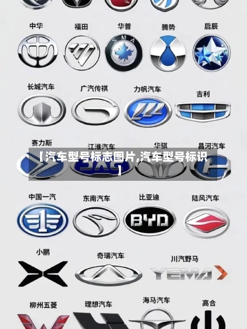 【汽车型号标志图片,汽车型号标识】-第2张图片