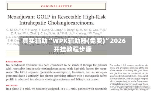 真实辅助“WPK辅助器(免费)”2026开挂教程步骤-第1张图片