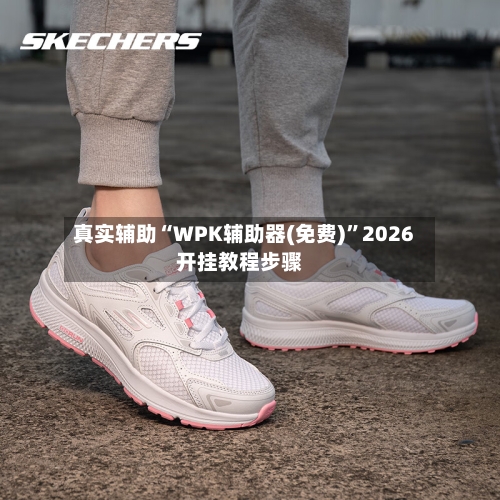 真实辅助“WPK辅助器(免费)	”2026开挂教程步骤-第2张图片