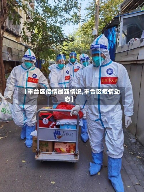 【丰台区疫情最新情况,丰台区疫情动态】-第2张图片