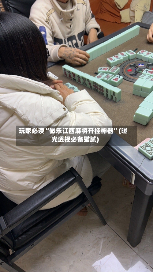 玩家必读“微乐江西麻将开挂神器”(曝光透视必备猫腻)-第2张图片