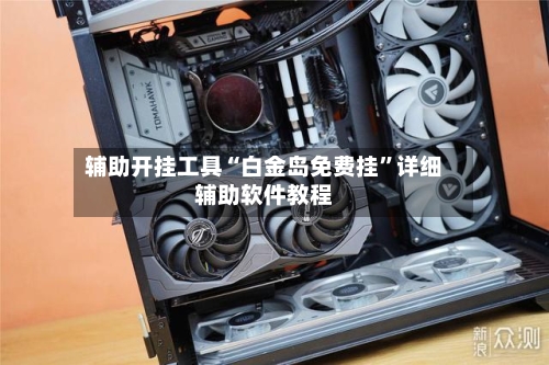 辅助开挂工具“白金岛免费挂”详细辅助软件教程-第1张图片