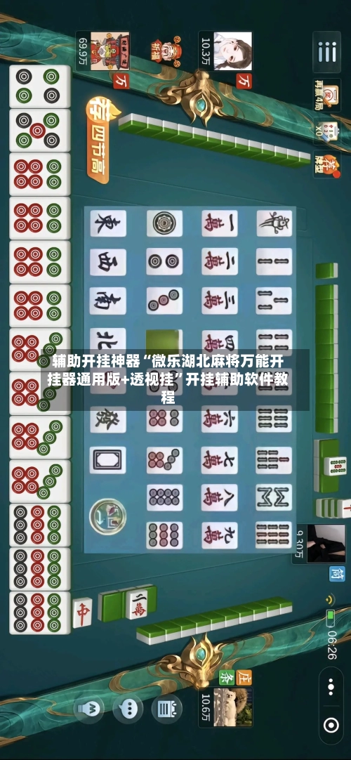 辅助开挂神器“微乐湖北麻将万能开挂器通用版+透视挂	”开挂辅助软件教程-第2张图片