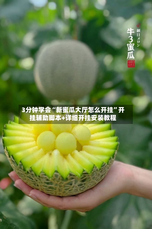 3分钟学会“新蜜瓜大厅怎么开挂	”开挂辅助脚本+详细开挂安装教程-第2张图片