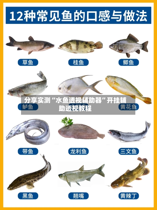 分享实测“水鱼透视辅助器”开挂辅助透视教程-第2张图片