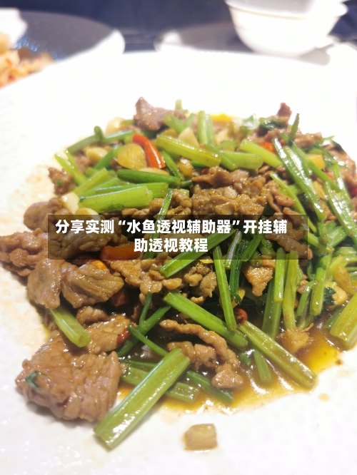 分享实测“水鱼透视辅助器”开挂辅助透视教程-第1张图片