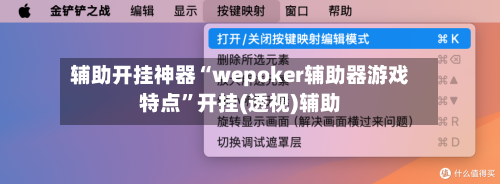辅助开挂神器“wepoker辅助器游戏特点	”开挂(透视)辅助-第2张图片