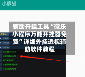 辅助开挂工具“微乐小程序万能开挂器免费”详细外挂透视辅助软件教程-第3张图片