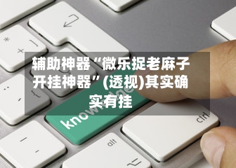 辅助神器“微乐捉老麻子开挂神器”(透视)其实确实有挂-第2张图片