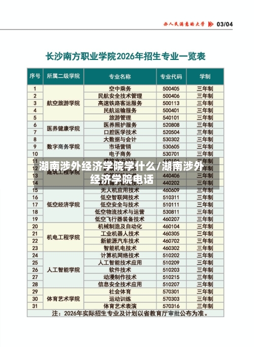 湖南涉外经济学院学什么/湖南涉外经济学院电话-第2张图片