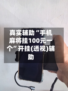 真实辅助“手机麻将挂100元一个”开挂(透视)辅助-第2张图片