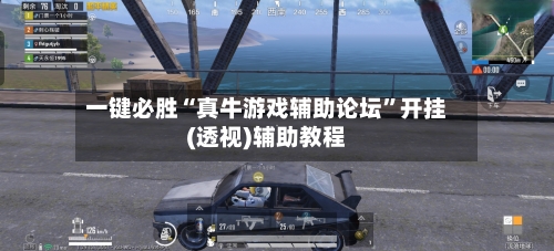 一键必胜“真牛游戏辅助论坛	”开挂(透视)辅助教程-第2张图片