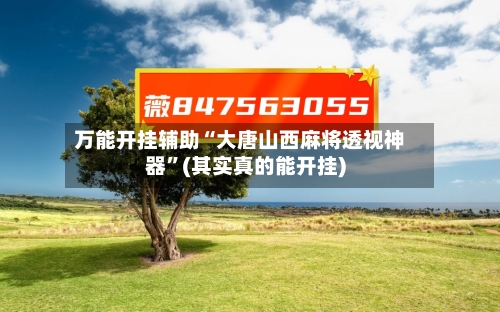 万能开挂辅助“大唐山西麻将透视神器”(其实真的能开挂)-第2张图片